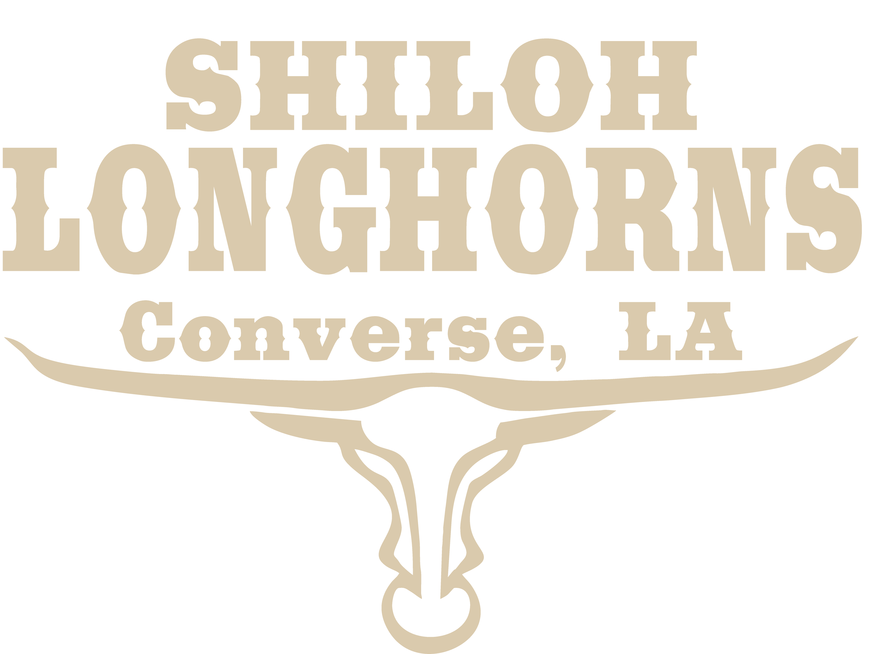 Shiloh Longhorns